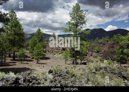 Die Front des Lavastroms von Bonito, der vom Fuße des Vulkans Sunset Crater ausbrach und über Schlackenfelder und die umliegende Landschaft floss Stockfoto