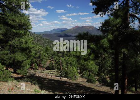 Blick auf den Vulkan Sunset Crater und den Bonito Lava Flow vom O'Leary Peak Trail, nördlich von Flagstaff, AZ, USA Stockfoto