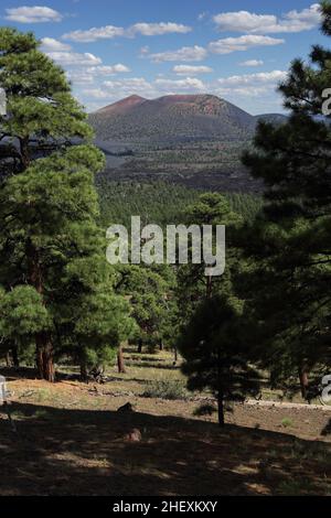 Blick auf den Vulkan Sunset Crater und den Bonito Lava Flow vom O'Leary Peak Trail, nördlich von Flagstaff, AZ, USA Stockfoto