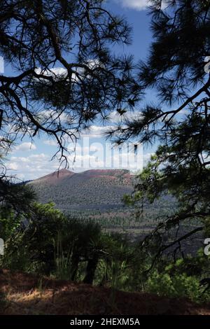 Blick auf den Vulkan Sunset Crater und den Bonito Lava Flow vom O'Leary Peak Trail, nördlich von Flagstaff, AZ, USA Stockfoto