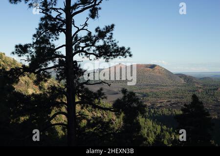 Blick auf den Vulkan Sunset Crater und den Bonito Lava Flow von hoch oben auf dem O'Leary Peak Trail, nördlich von Flagstaff, AZ, USA Stockfoto