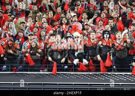 Indianapolis, IN, USA. 10th Januar 2022. Georgia Bulldog Fans beim NCAA College Football Playoff National Championship Spiel zwischen den Georgia Bulldogs und der Alabama Crimson Tide im Lucas Oil Stadium in Indianapolis, IN. Darren Lee/CSM/Alamy Live News Stockfoto