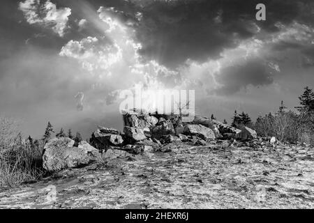 Romantischer Brunhildis-Felsen auf dem Feldberg in Hessen Stockfoto