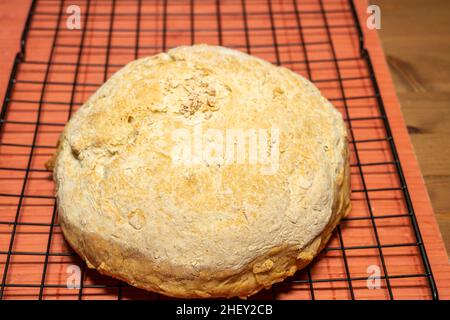 Bannock ist eine Vielzahl von flachen schnellen Brot oder jede große, runde Artikel gebacken oder aus Getreide gekocht. Ein bannock wird normalerweise vor dem Servieren in Abschnitte geschnitten Stockfoto