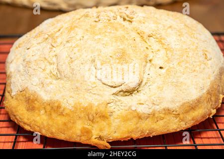 Bannock ist eine Vielzahl von flachen schnellen Brot oder jede große, runde Artikel gebacken oder aus Getreide gekocht. Ein bannock wird normalerweise vor dem Servieren in Abschnitte geschnitten Stockfoto