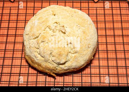 Bannock ist eine Vielzahl von flachen schnellen Brot oder jede große, runde Artikel gebacken oder aus Getreide gekocht. Ein bannock wird normalerweise vor dem Servieren in Abschnitte geschnitten Stockfoto