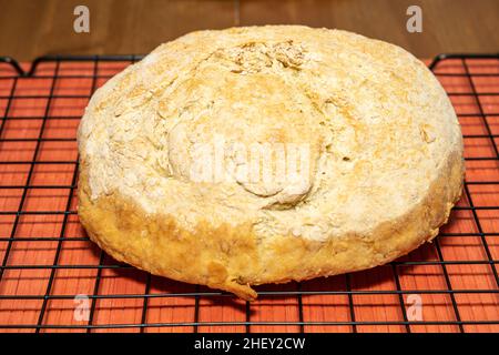 Bannock ist eine Vielzahl von flachen schnellen Brot oder jede große, runde Artikel gebacken oder aus Getreide gekocht. Ein bannock wird normalerweise vor dem Servieren in Abschnitte geschnitten Stockfoto