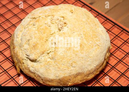 Bannock ist eine Vielzahl von flachen schnellen Brot oder jede große, runde Artikel gebacken oder aus Getreide gekocht. Ein bannock wird normalerweise vor dem Servieren in Abschnitte geschnitten Stockfoto