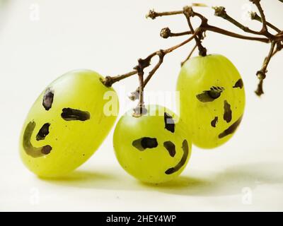 Lustige Gesichter auf Trauben Stockfoto