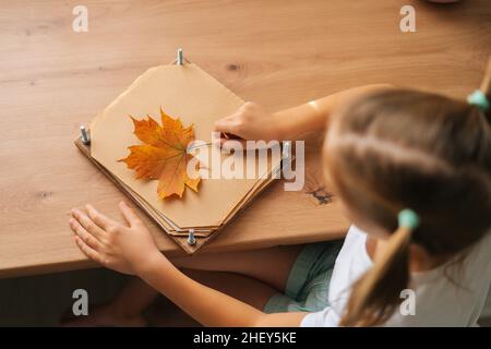 Kurzer Schuss von nachdenklichen kleinen Mädchen hält schöne trockene Ahornblatt Herbarium diy zu Hause zu schaffen. Stockfoto