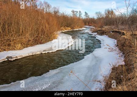 Orono Crown Land Conservation Area Ontario Canada im Winter Stockfoto