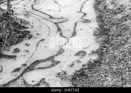 Orono Crown Land Conservation Area Ontario Canada im Winter Stockfoto