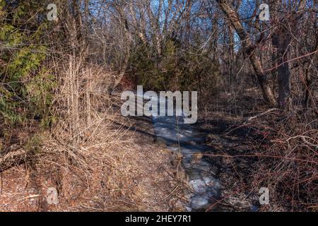 Orono Crown Land Conservation Area Ontario Canada im Winter Stockfoto