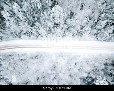 Winter schneebedeckte Straße Draufsicht . Winterlandschaft. Winterhintergrund. Schneebedeckte Weihnachtsbäume. Natürlicher Hintergrund Stockfoto