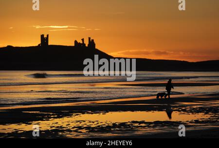 Die Sonne geht über den Ruinen der Burg von Dunstanburgh an der Küste von Northumberland auf, nachdem ein weiterer kalter Start in den Tag im ganzen Land möglich war. Bilddatum: Donnerstag, 13. Januar 2022. Das Schloss aus dem 14th. Jahrhundert gehört dem National Trust und wird von English Heritage verwaltet. Stockfoto