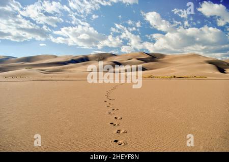 Die kleine Figur eines Mannes wandert in der Ferne über eine Wüste zu den riesigen Sanddünen und hinterlässt eine Spur mit deutlichen Spuren Stockfoto