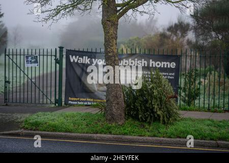 Merton, London, Großbritannien. 13. Januar 2022. Weggeworfener Weihnachtsbaum am Straßenrand im Merton Park neben einem Wegweiser zu Ihrem Müllhaus. Quelle: Malcolm Park/Alamy Live News. Stockfoto