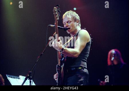 Mailand Italien ,2000-01-28, Live-Konzert von Sting im Forum von Assago: Sting, Bassist und Sänger während des Konzerts Stockfoto