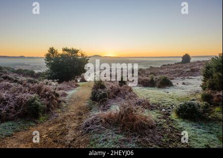 Winterliche Landschaft mit Frost in Godshill, New Forest, Hampshire, Großbritannien, Januar, Winter, Morgen. Stockfoto