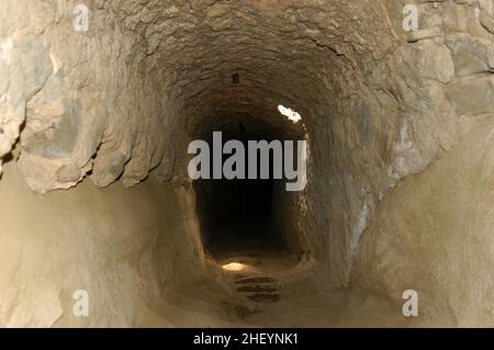 Hängende Fledermäuse im unterirdischen Tunnel. Osttürkei, Nordkurdistan Stockfoto