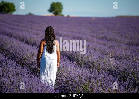 Afrikanische Frau im Lavendelfeld an einem schönen Sommertag Stockfoto