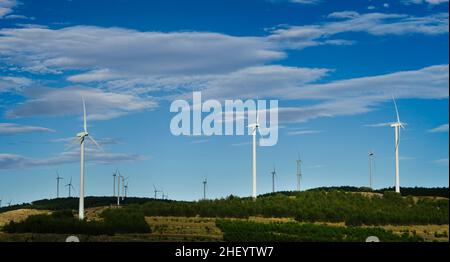 Panoramablick auf moderne Windmühlen, die auf den Hügeln der Landschaft inmitten der Vegetation installiert sind. Blauer Himmel mit weißen Wolken. Stockfoto