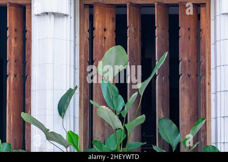 Exotische braune Holztrennwand an der weißen Wand mit den tropischen grünen Bananenblättern in der Vorderseite verziert Stockfoto