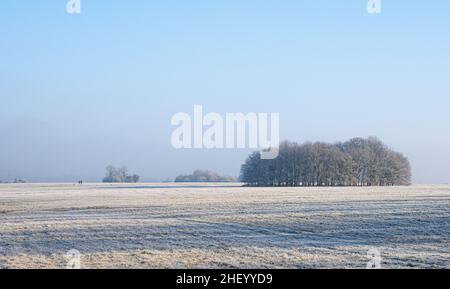 Frostiger Morgen mit entfernten Hundespaziergängern und schwacher Wintersonne im Ashton Court Park in der Nähe von Bristol UK Stockfoto