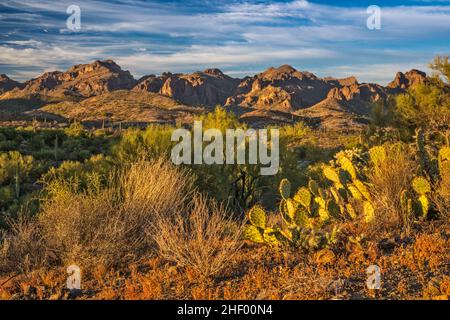 Superstition Mountains, Blick bei Sonnenuntergang vom Hewitt Canyon, Montana Mountain Loop (NF 172 aka FS 172), Tonto Natl Forest, nahe Queen Valley, Arizona Stockfoto