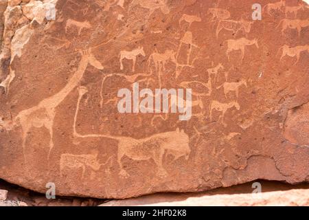 Bushman Gravuren in den Granitfelsen, Twyfelfontein UNESCO Weltkulturerbe, Kunene Region, Damaraland, Namibia, Afrika. Stockfoto