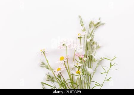 Blumenmuster mit bunten Gänseblümchen-Wildblumen, grünen Blättern, Kräutern auf weißem Hintergrund. Flach liegend, Draufsicht. Stockfoto