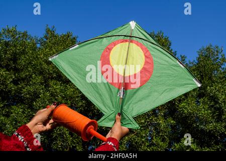 Weibchen halten und fliegen einen großen Drachen mit Naturhintergrund anlässlich des indischen Drachenfliegerfestivals von Makar sankranti oder Uttaryan, Pongal, Lohri c Stockfoto