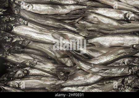 Fisch kleine Heringsprossen Meeresfrüchte frischer Hintergrund. Stockfoto