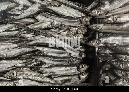 Fisch kleine Heringsprossen Meeresfrüchte frischer Hintergrund. Stockfoto