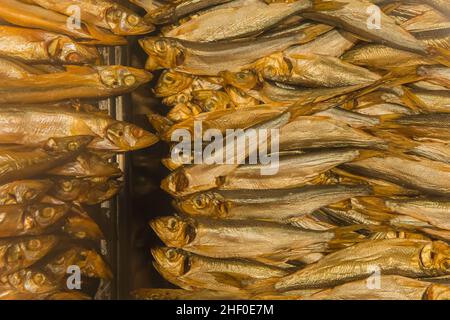 Fisch kleine Heringsprossen Meeresfrüchte frischer Hintergrund. Stockfoto