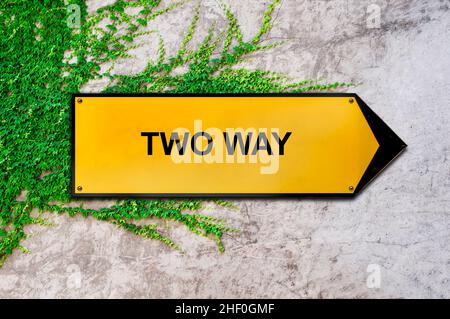 Zweiweg auf gelbem Schild, das an Efeu-Wand hängt Stockfoto