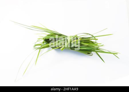 Ein grünes Gras gesammelt und vorbereitet, isoliert auf weißem Hintergrund Stockfoto