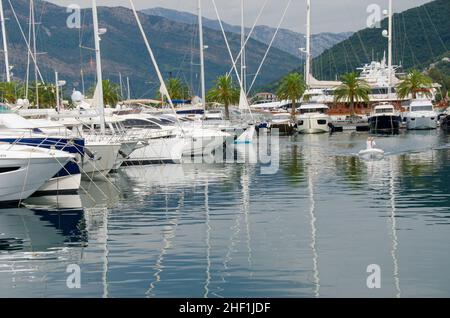 Montenegro und Kotor im Herbst Stockfoto