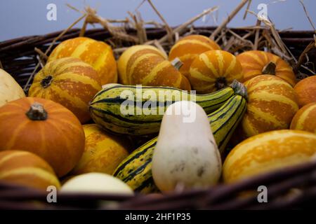 Viele verschiedene Arten von Kürbissen in einem Weidenkorb voller Stroh Stockfoto