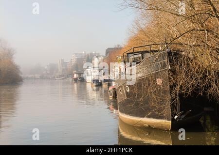 Hausboote auf der Themse unter der Kew Bridge, Hounslow, Middlesex, London, Großbritannien Stockfoto