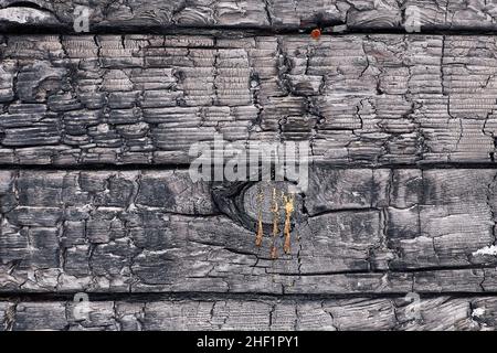 Holzstruktur der Bretter, die vom Feuer verbrannt wurden. Verbrannter Plattenhintergrund Stockfoto