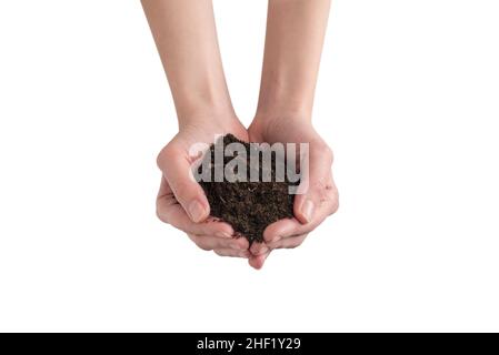 Brauner Boden in den Händen der Frau isoliert auf weißem Hintergrund. Stockfoto