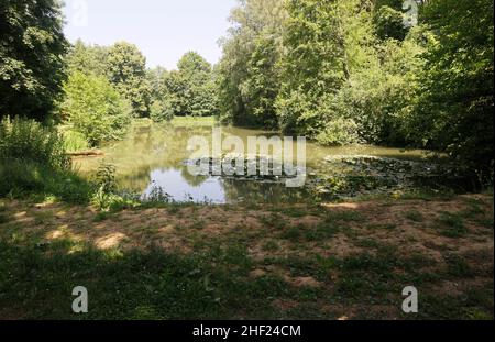 Der Fischersee im Tal Fünfmühlental in Bad Rappenau in Deutschland, Europa Stockfoto