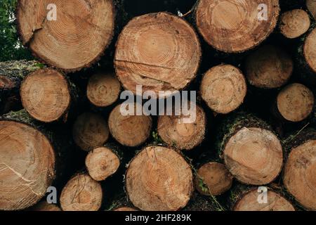 Pavillon auf dem Hintergrund der Berge in adygea, russland . Hochwertige Fotos Stockfoto