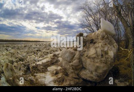 Die Eisschollen liegen wie ein Berg am Ufer und sind eine Eisdrift auf dem ob River Stockfoto