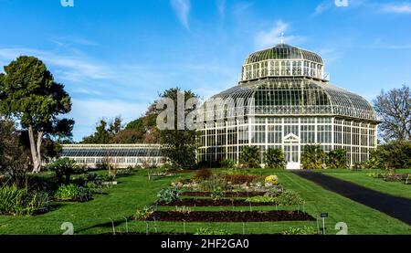 Das Palm House Gewächshaus im National Botanic Gardens in Dublin, Irland. Erbaut 1862 und 2004 von der OPW restauriert Stockfoto