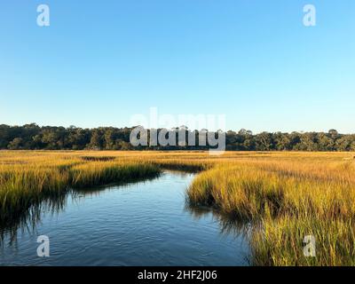 Der Salzmarsch am Clam Creek, Jekyll Island, Georgia, bietet einen einzigartigen maritimen Lebensraum im Tiefland. Stockfoto