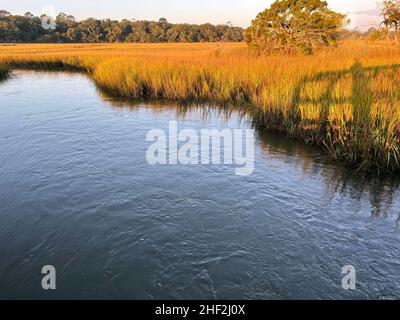 Der Salzmarsch am Clam Creek, Jekyll Island, Georgia, bietet einen einzigartigen maritimen Lebensraum im Tiefland. Stockfoto