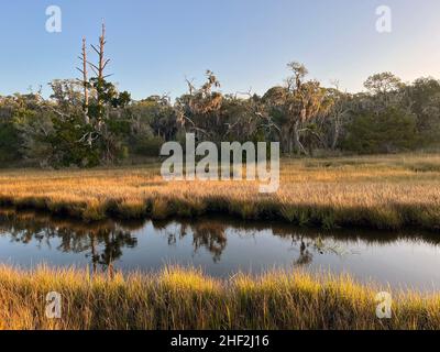 Der Salzmarsch am Clam Creek, Jekyll Island, Georgia, bietet einen einzigartigen maritimen Lebensraum im Tiefland. Stockfoto