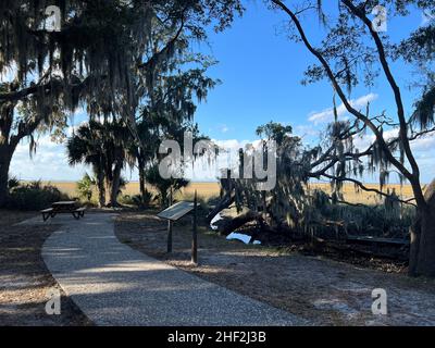 Ein Blick auf den Salzmarsch vom Horton House-Gelände auf Jekyll Island, Georgia, einem ruhigen, langsamen Reiseziel im Südosten der Vereinigten Staaten. Stockfoto